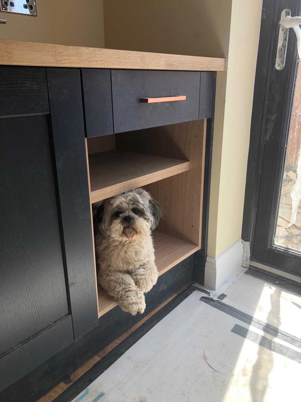 Built-in pet nook with black cabinetry