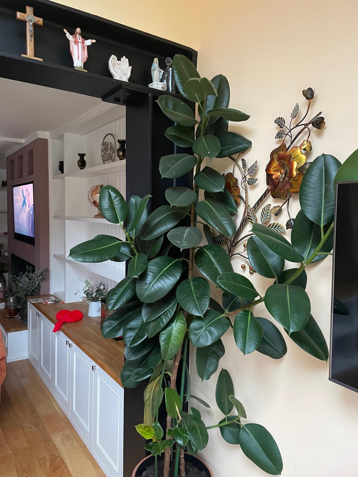 Interior living space with potted plants